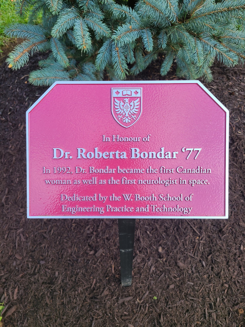 W Booth School of Engineering Practice and Technology special plaque and spruce trees dedicated to honour Dr. Bondar, McMaster '77, first Canadian woman and first neurologist in space
